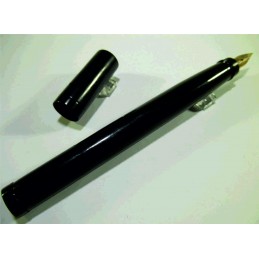 Fountain pen waterman...