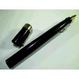 Fountain pen Waterman...