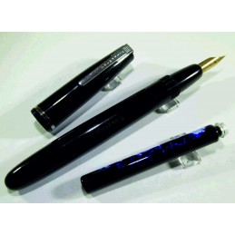 Stylo plume or WATERMAN...